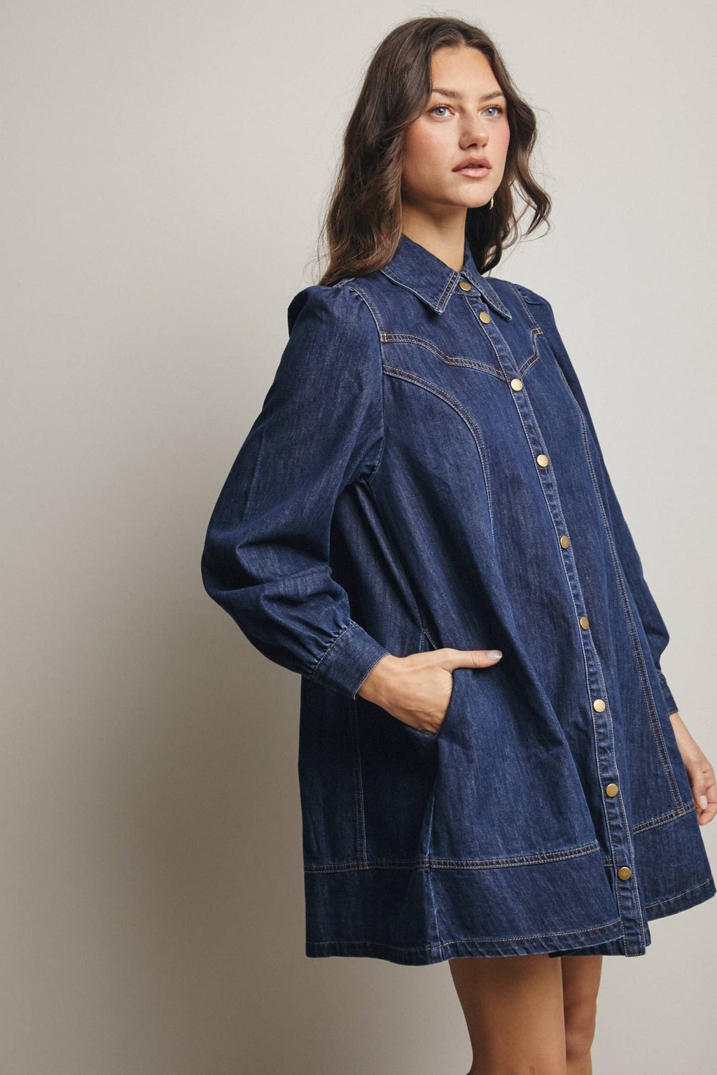 Faith Western Seam Denim Dress