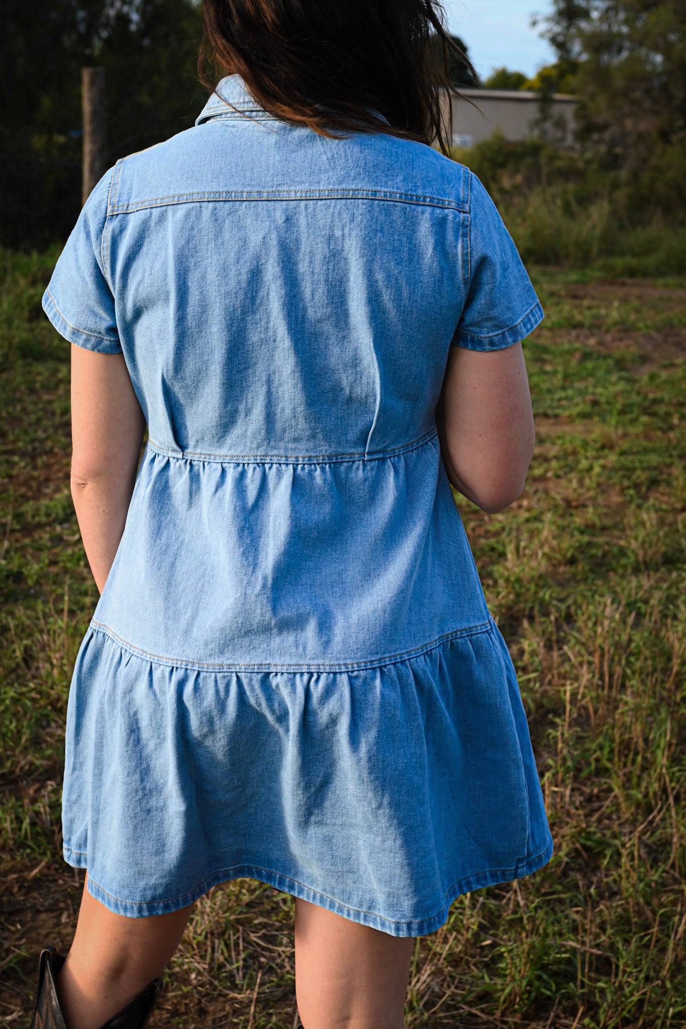 Bree Denim Button Front Dress