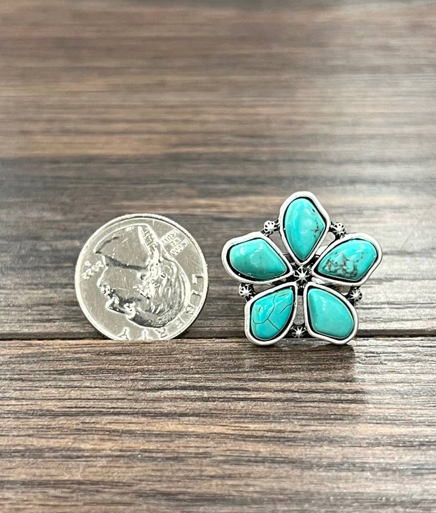 1" Navajo Turquoise, Brass Adjustable Ring