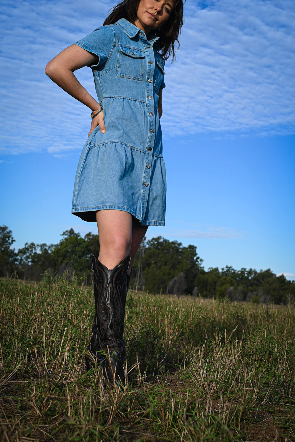 Bree Denim Button Front Dress