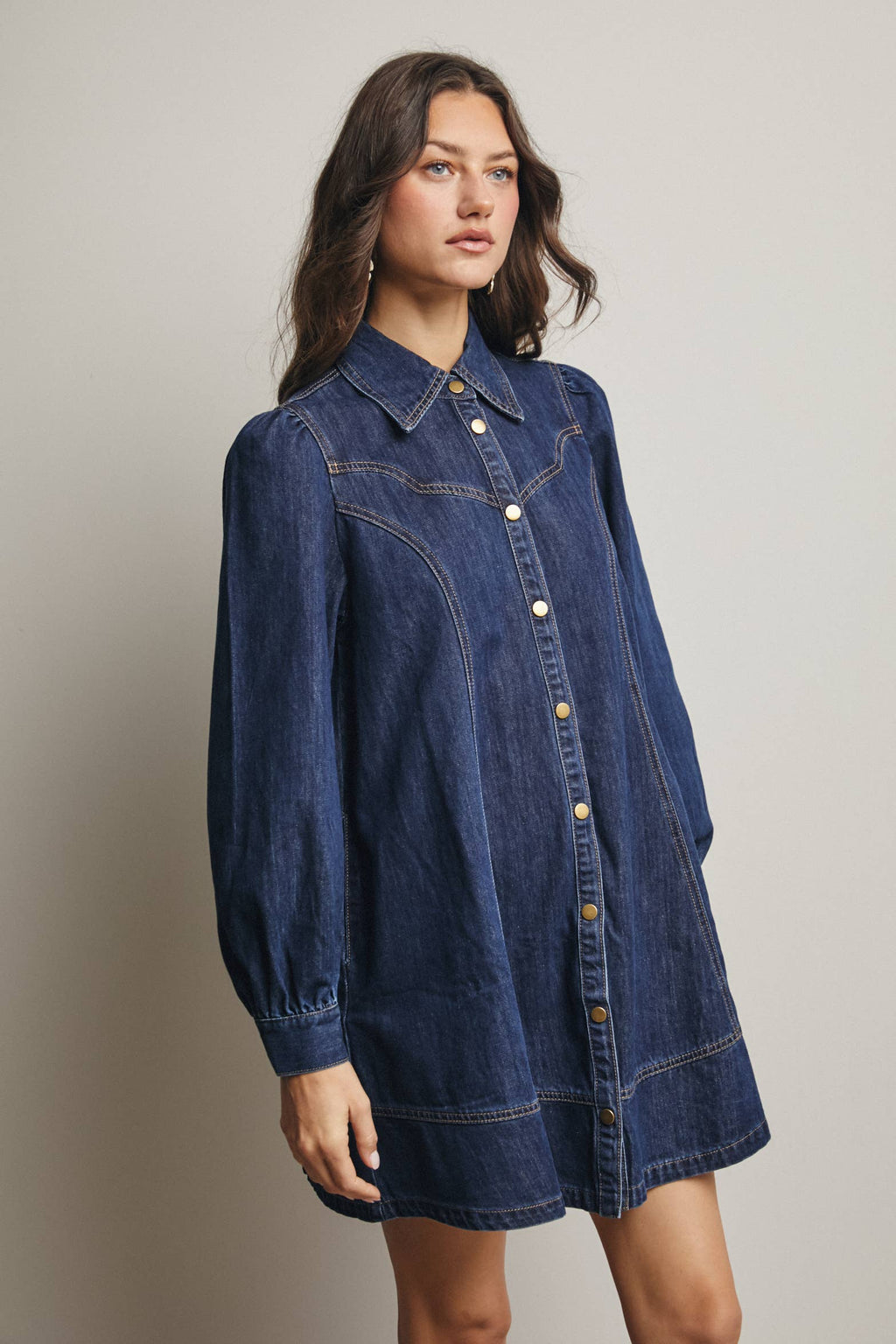 Faith Western Seam Denim Dress