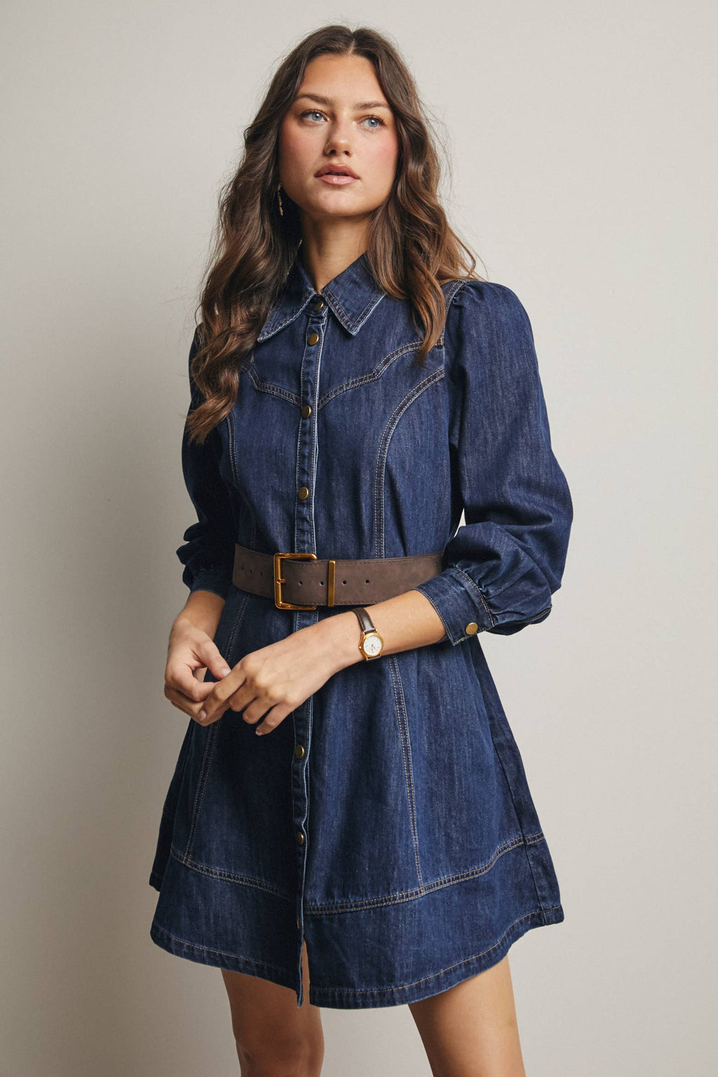 Faith Western Seam Denim Dress