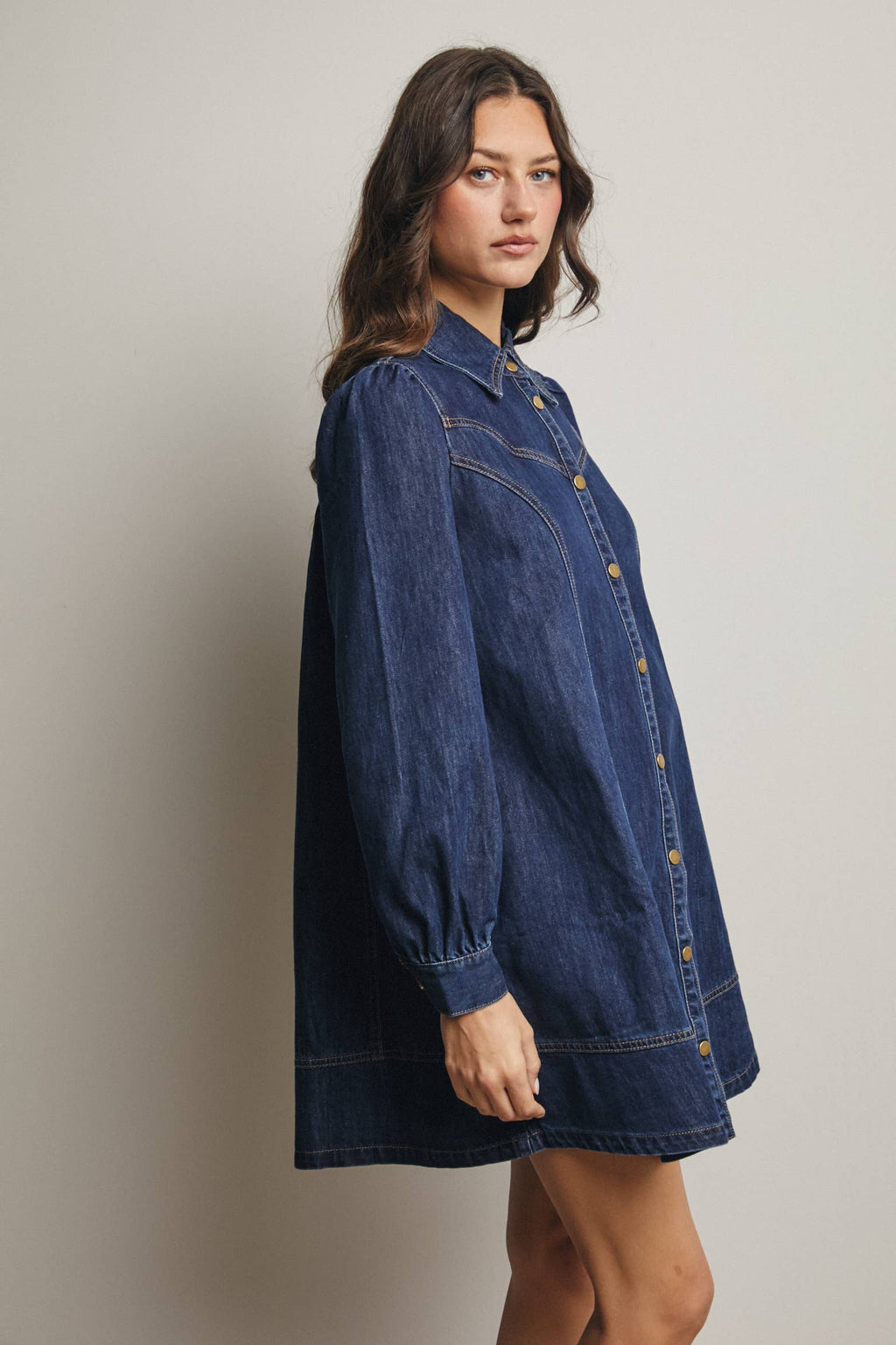 Faith Western Seam Denim Dress
