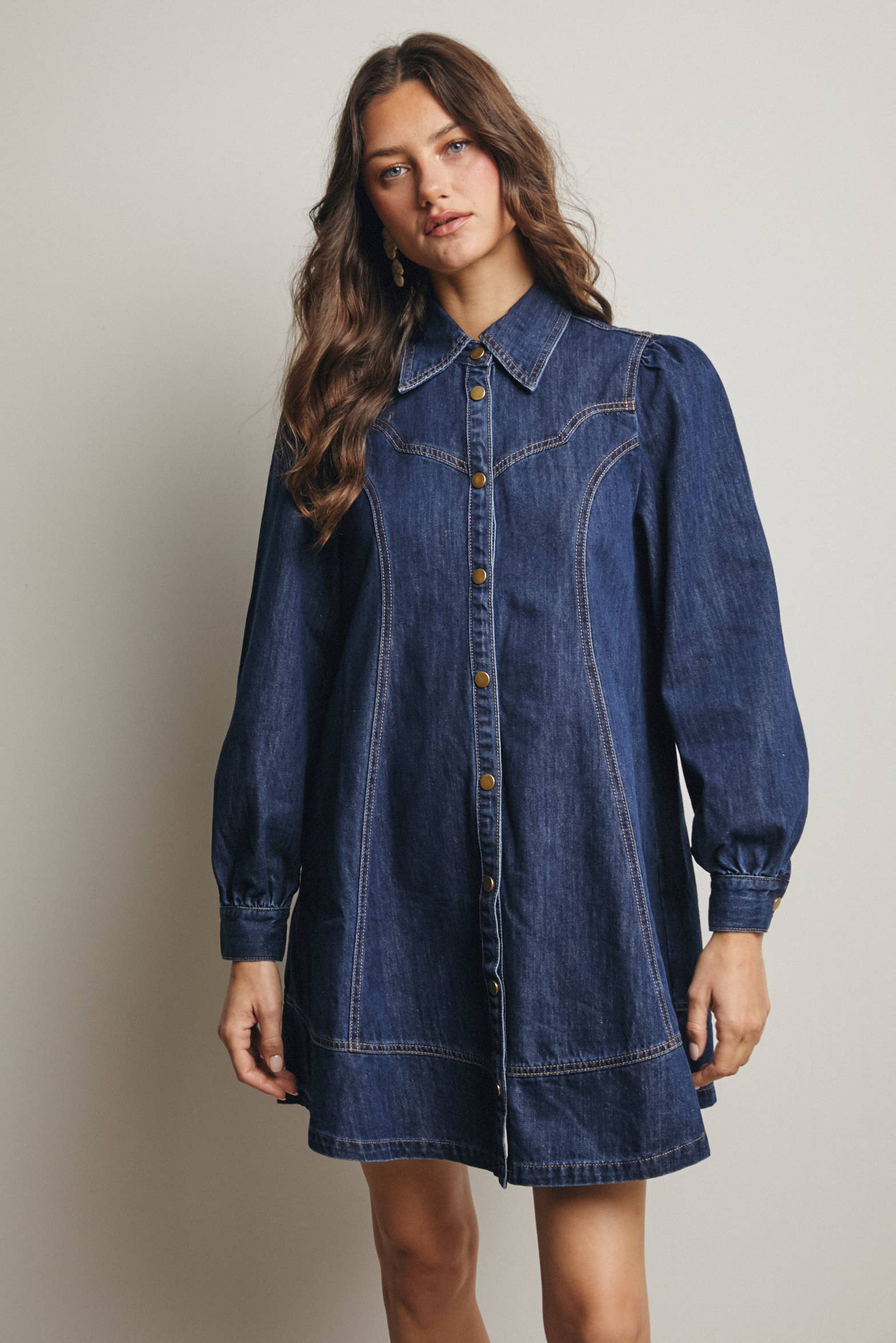 Faith Western Seam Denim Dress
