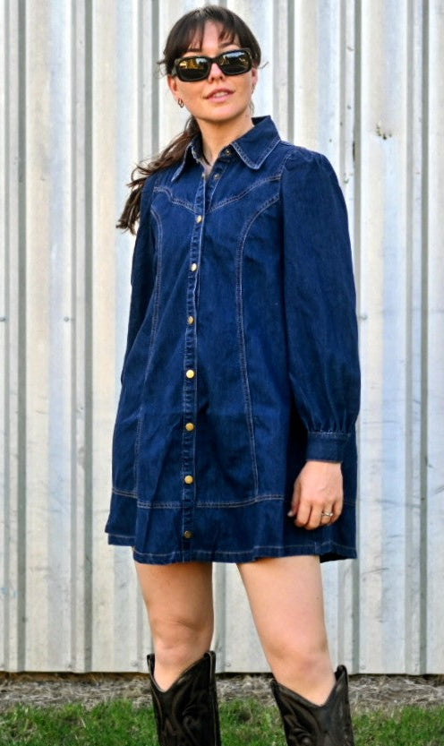 Faith Western Seam Denim Dress