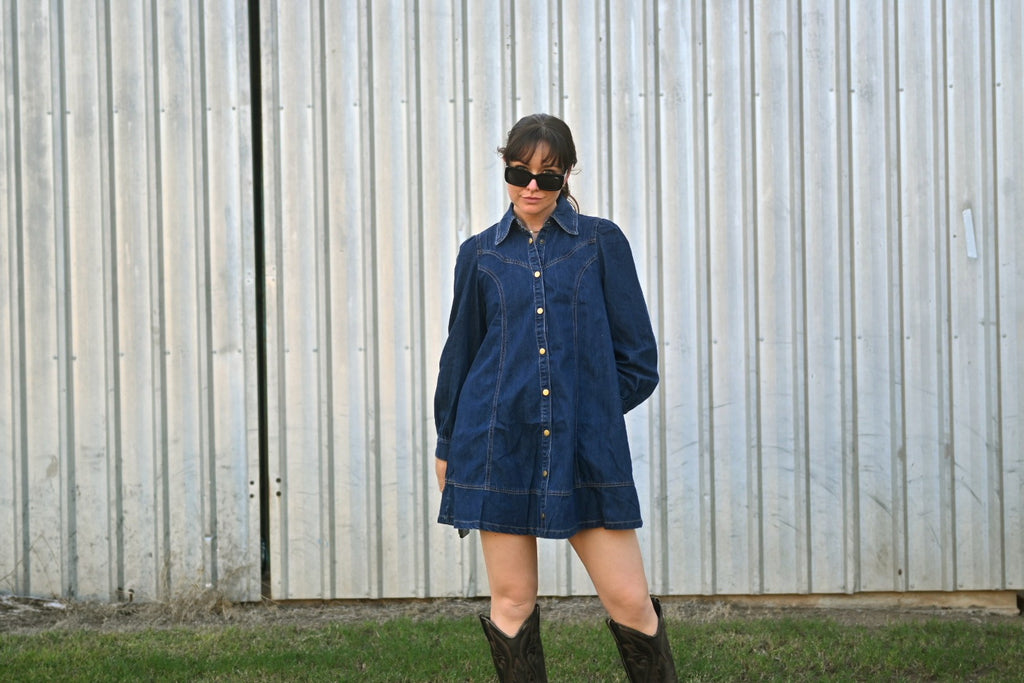 Faith Western Seam Denim Dress