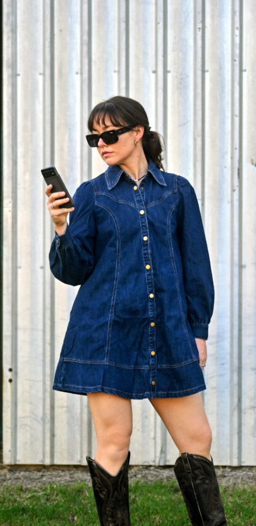 Faith Western Seam Denim Dress